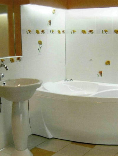 ванна, сделанная из чугуна